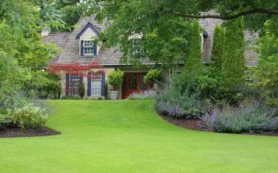 Maintaining a Healthy Lawn Throughout the Summer Months