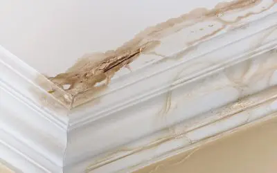 5 Small Signs of a Big Problem With Your Home