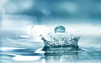 5 Easy Ways to Save Water at Home