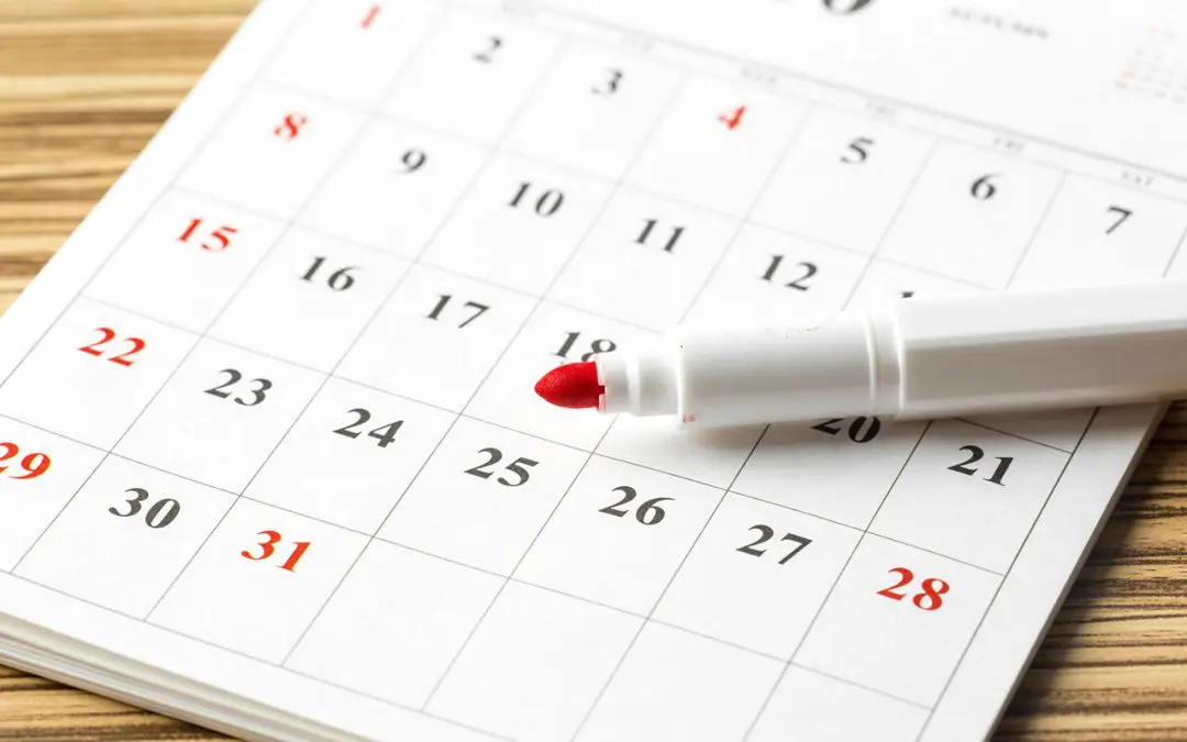 Keeping the Peace: Your Essential Monthly Home Maintenance Checklist