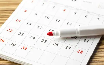 Keeping the Peace: Your Essential Monthly Home Maintenance Checklist