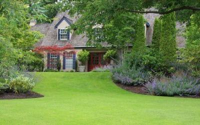 Maintaining a Healthy Lawn Throughout the Summer Months