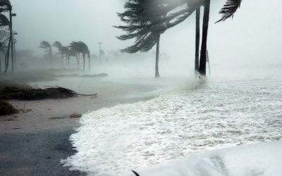 4 Ways to Reduce Wind Damage to Your Home During a Storm